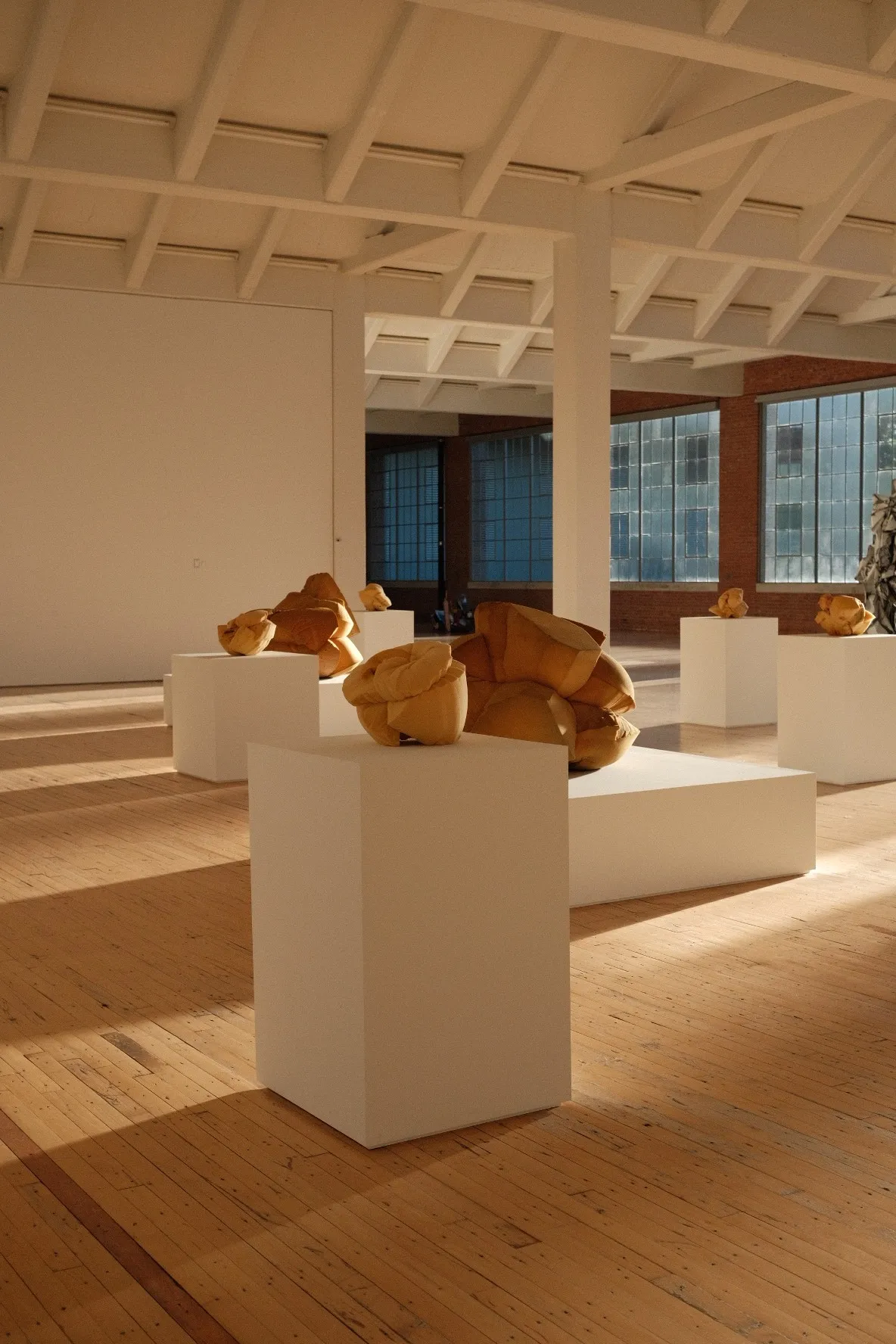 Soft gold sculptures on white plinths across a sunlit wooden floor