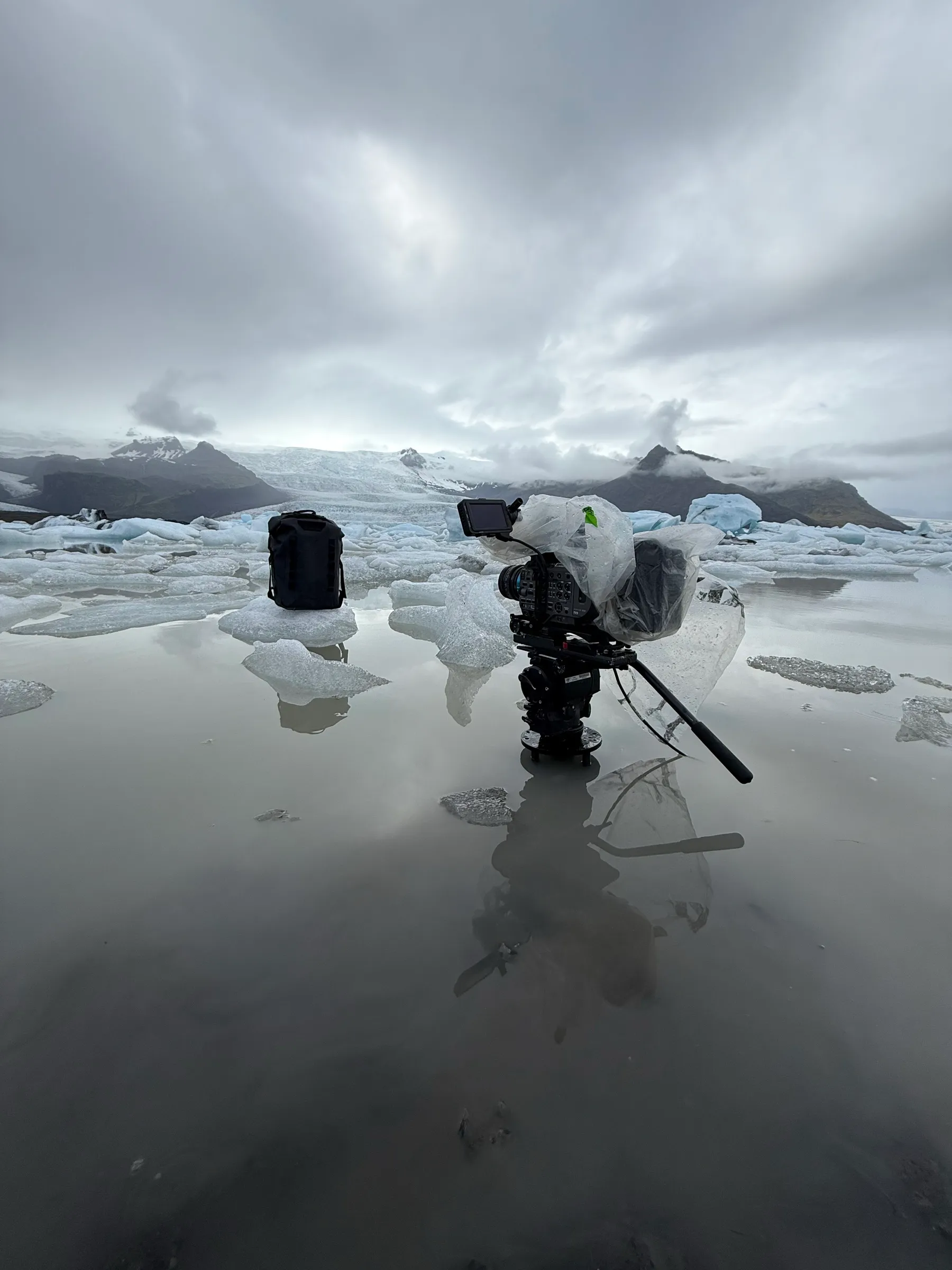 A cinema camera on a tripod in a glacier lagoon, filming a pack on an ice floe