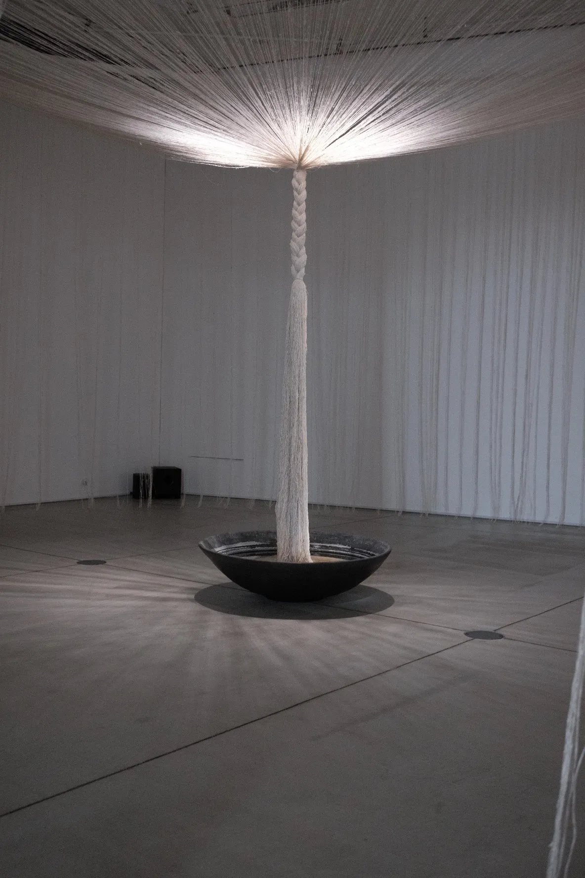 A braided column of white thread rising from a black bowl into a canopy of light